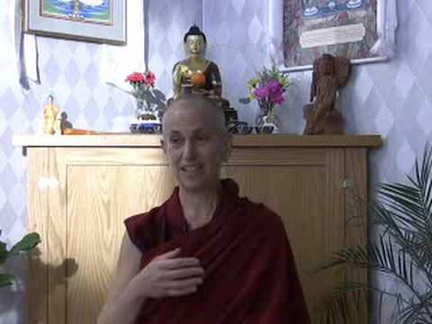 09-08-08 Mudita the Moose - BBCorner