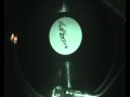 mad professor..asylum of dub..