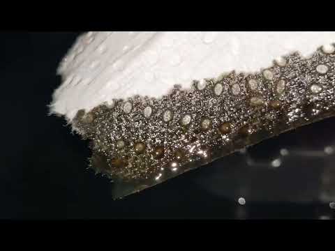 1zz oil burning seafoam results after 500 miles of seafoam in the crankcase