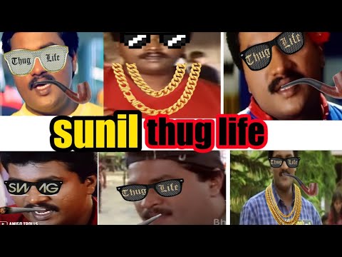 sunil thug life | Sunil comedy punches | Telugu thug life | thug life Sunil