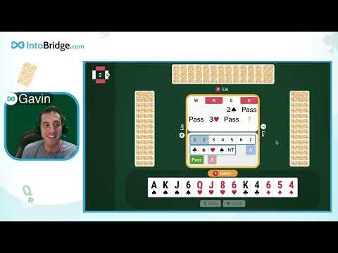 Gavin Wolpert and IntoBridge