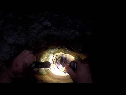 Defineyi Oymalardan Tilki Kaçırmış !!! #105