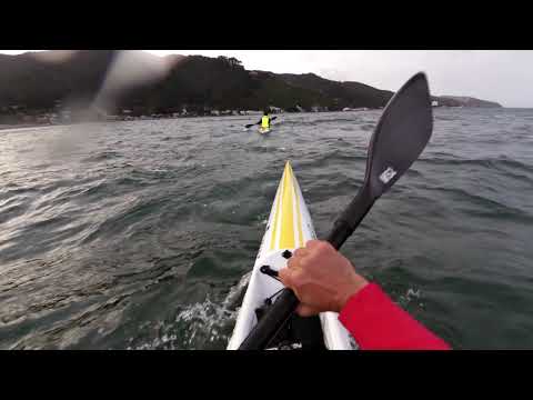 Days Bay Windy Day Play