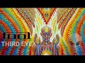 TOOL THIRD EYE Space Ride Alan Watts Unnoficial Video
