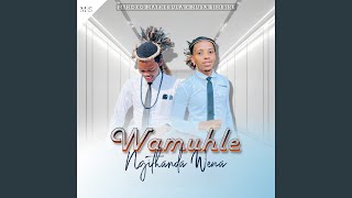 Download lagu Wamuhle Ngithanda Wena mp3