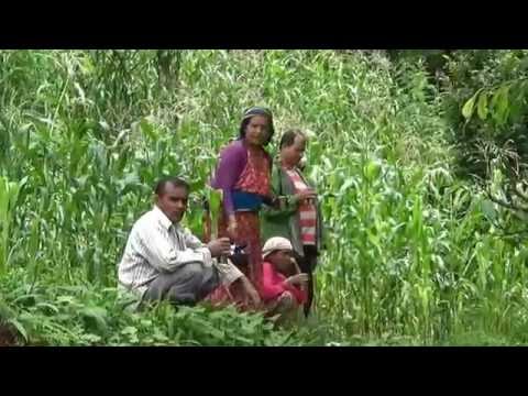 Paano sa mawala timbang sa nakalipas na buwan sa pamamagitan ng 5 kg ehersisyo sa bahay Garcinia cambogia para sa pagbaba ng timbang