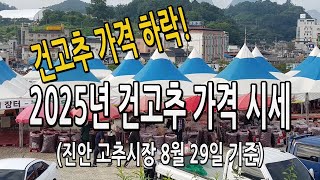 2025년 건고추 가격 시세 / 진안 고추시장 8월 29일 기준 고추가격 하락!