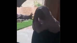 Download lagu meme absurd humor part 7 #meme #shortvideo #funny mp3