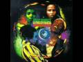 Ziggy Marley  - first night