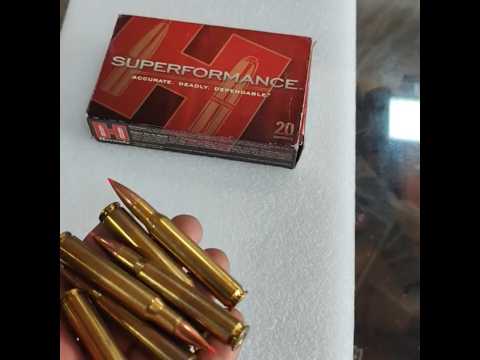 Hornady SST Muzzleloader bullet REVIEW