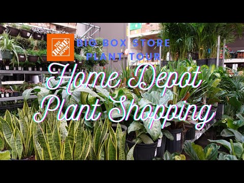 Home Depot Marysville Washington Real Estate, Apartment