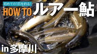 【ルアー鮎】HOW TO /ルアー鮎の強化書！多摩川で初めての1匹を釣る。/ 遠藤肇・鈴木将人