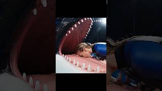 Download lagu Pelatih Lumba Lumba Jessica Radcliffe Masuk Kedalam Mulut Orca! Untung Gak Dimakan mp3