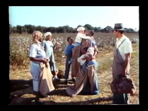 Roll Of Thunder Hear My Cry (1978) trailer