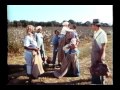 Roll Of Thunder Hear My Cry 1978 Trailer
