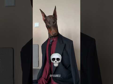 Scary Dogs 💀☠️