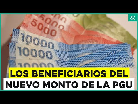 PGU sube su monto a $250 mil: ¿Quiénes son los beneficiarios?