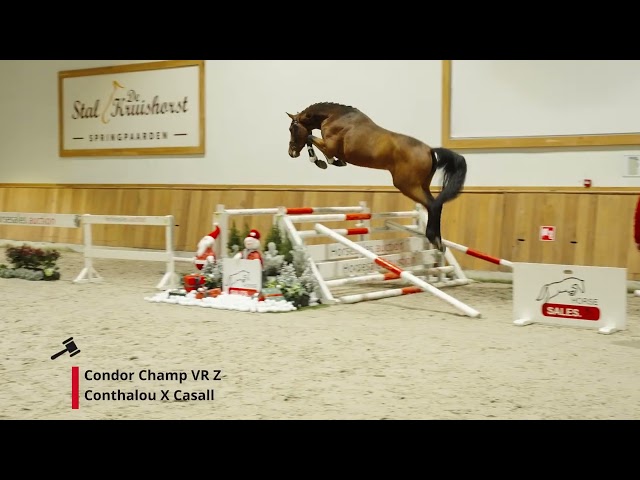 Condor Champ VR Z