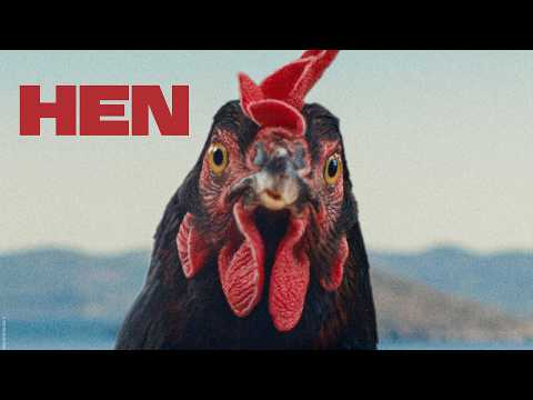 The Hen - Official Trailer