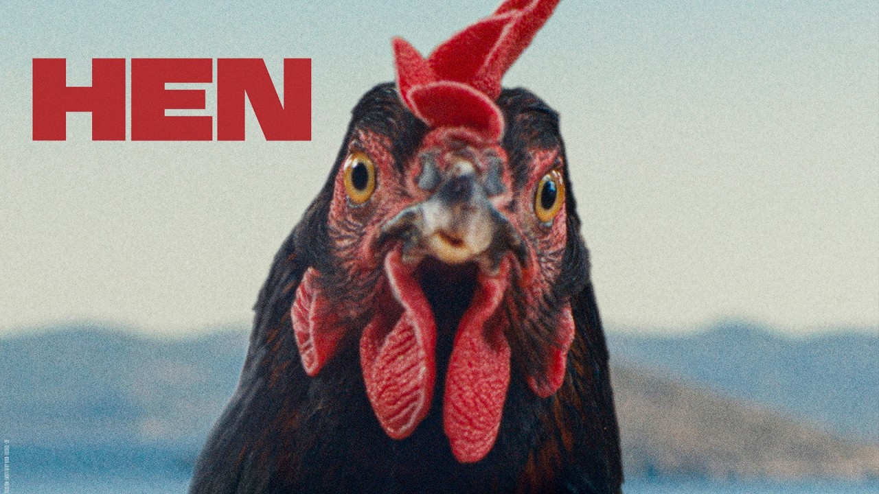 The Hen - Official Trailer