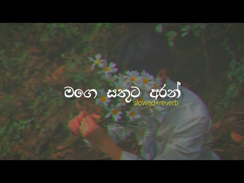 මගෙ සතුට අරන් | Slowed+Reverb | Mage sathuta aran|