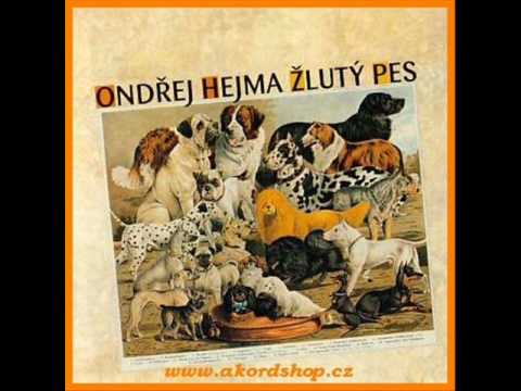 Žlutý pes-Zůstaň klidná
