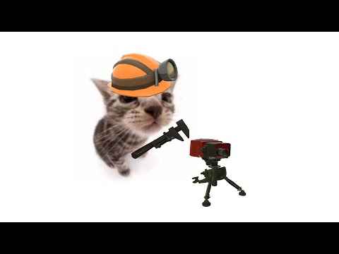 late night team fortwess 2