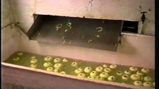 Matchett Home County Armagh apple processing