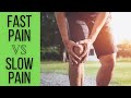 THE 2 KINDS OF PAIN // Slow Pain and Fast Pain // Pain Perception and Nociception