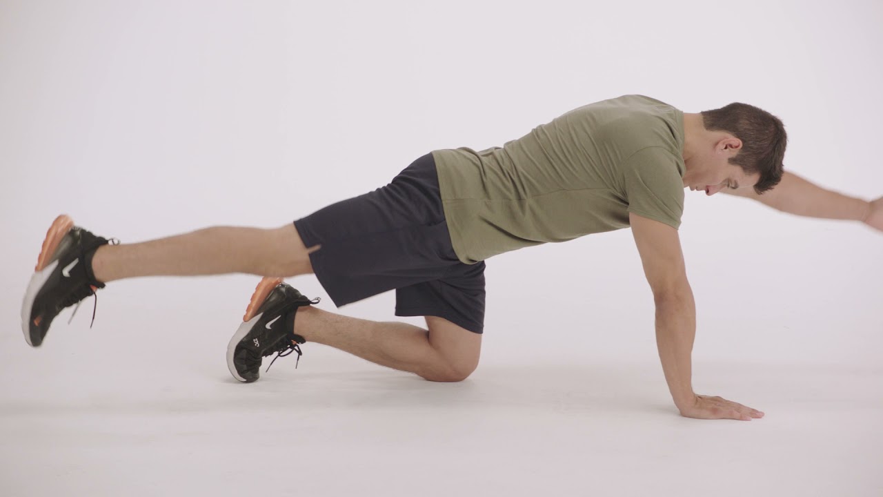 How to do a Bird Dog | Proper Form & Technique | NASM - YouTube