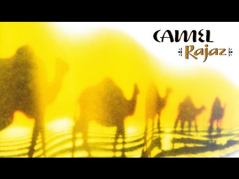 Camel - Sahara