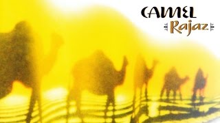 Camel - Sahara