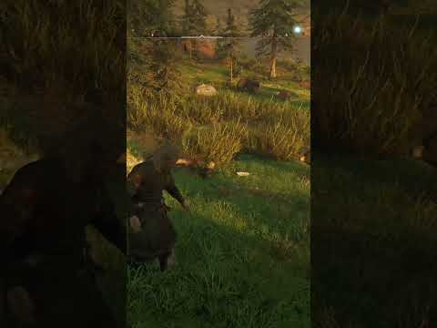 AC Valhalla: Double Bear vs Cougar Fight