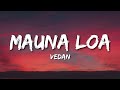 Mauna Loa Lyrics Vedan New Malayalam Rap Song 2025