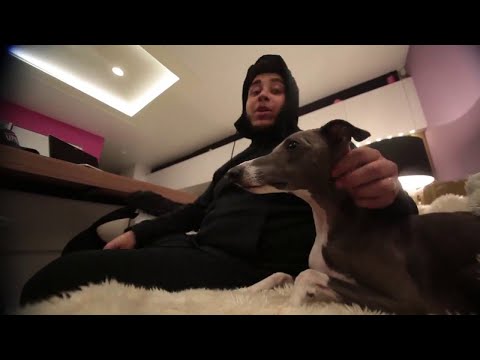 Conducta ft. Coco, Big Zuu & Mina Rose - Wanna Go [Music Video] | GRM Daily