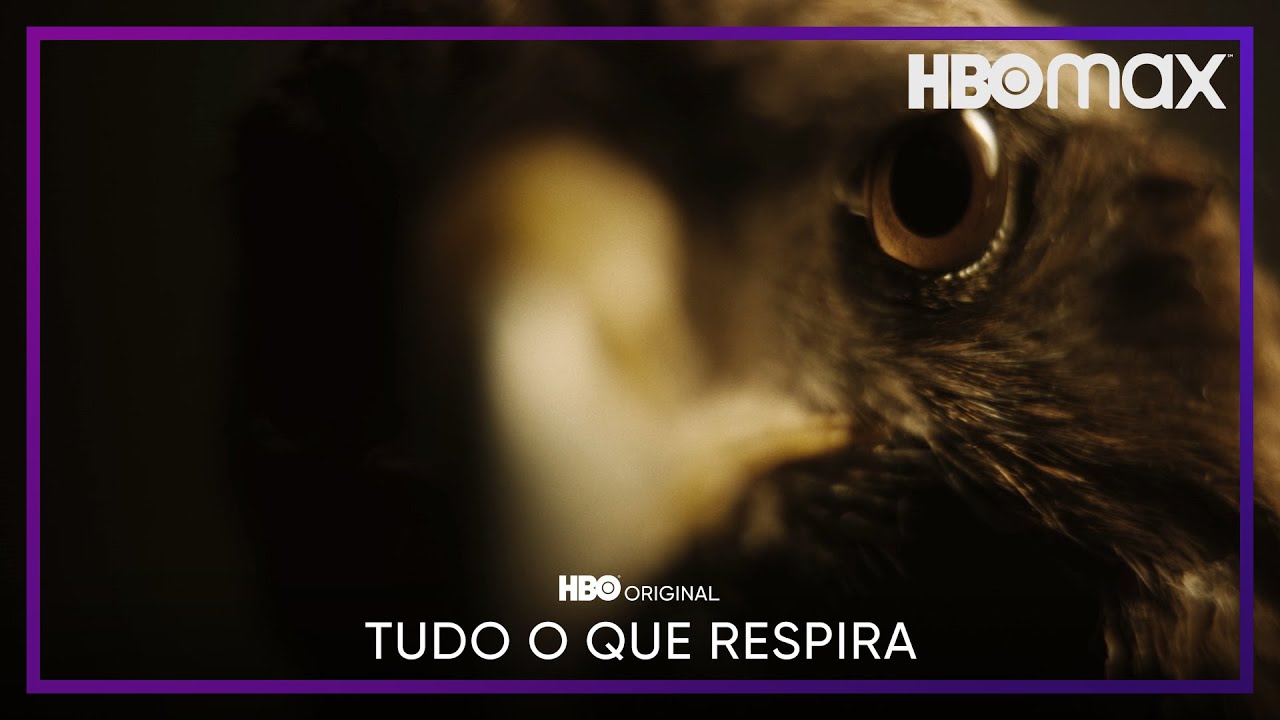 trailer Oficial