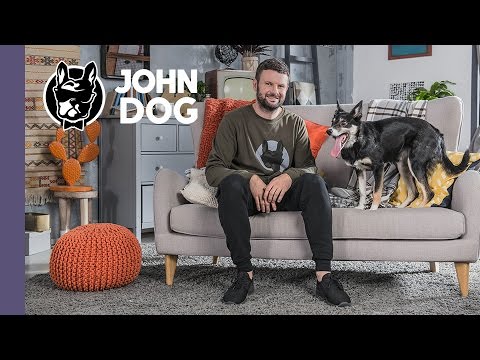 Jak bawić się z psem w domu? - TRENING PSA - John Dog