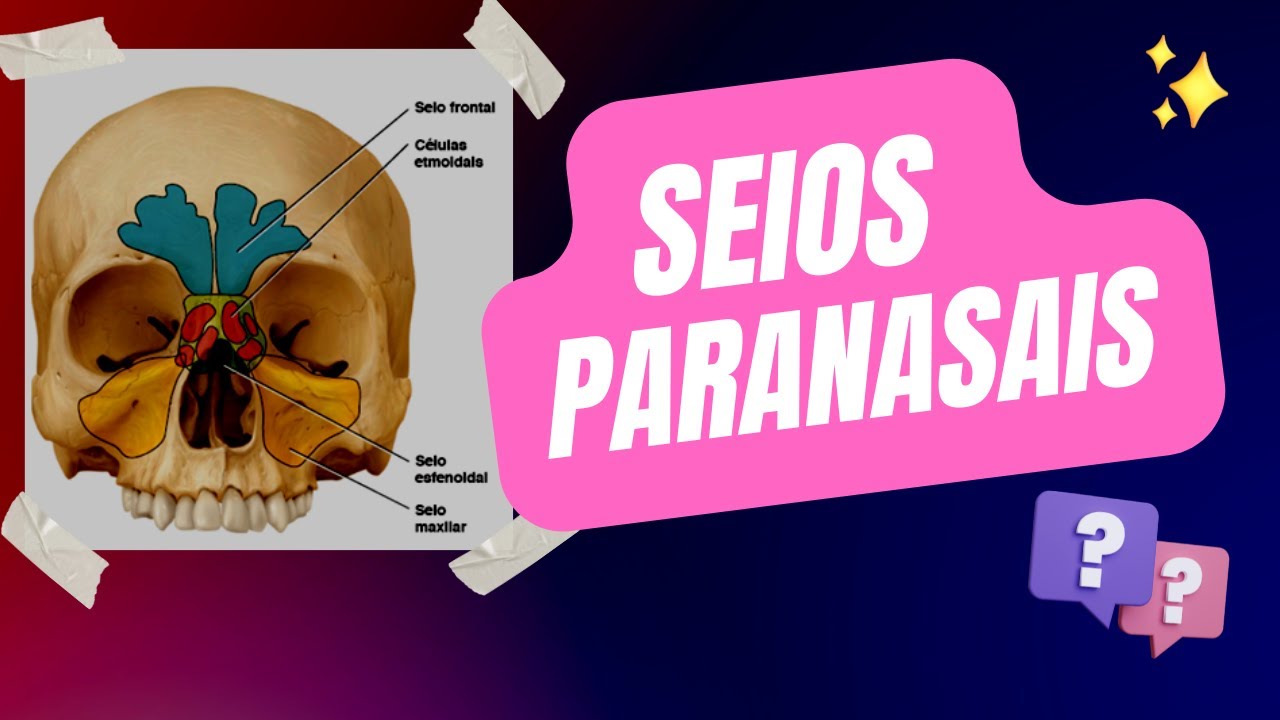 Aula 04   Seios Paranasais
