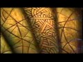 Stargate SG 1 Intro 1