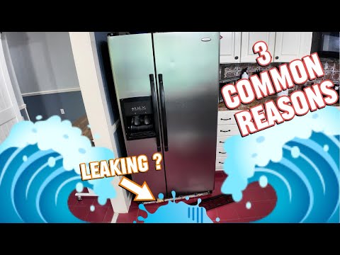 Whirlpool Refrigerator Leaking Water? Check This First