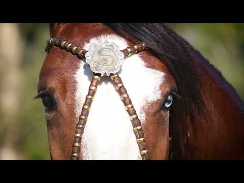 Tempera da Cabanha Santa Fé