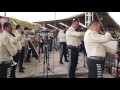 Fiesta en Jalisco - Mariachi Vargas de Tecalitlán 05 de febrero 2017 Lienzo Charro Hermanos Ramírez