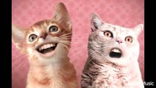 Download lagu PIKI PIKI PONKI PAKA MIELO Funny Song mp3