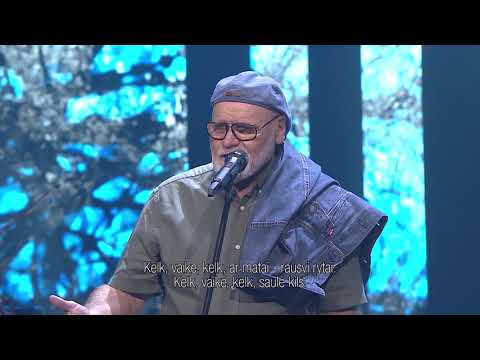 Vladas Bagdonas - Vaikystės šviesa | Gražiausios poetų dainos