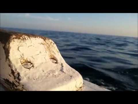 Porat Molunat @ Ljeto 2016.