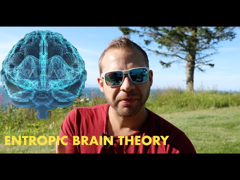 Entropic Brain Theory and Psychedelic Medication Trials