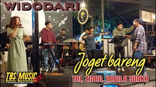Download lagu WIDODADARI - ZINIDIN ZIDAN FT NABILA MAHARANI & TRI SUAKA LIVE JUWANA, PATI mp3