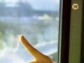Spring Waltz MV #1- Flower 