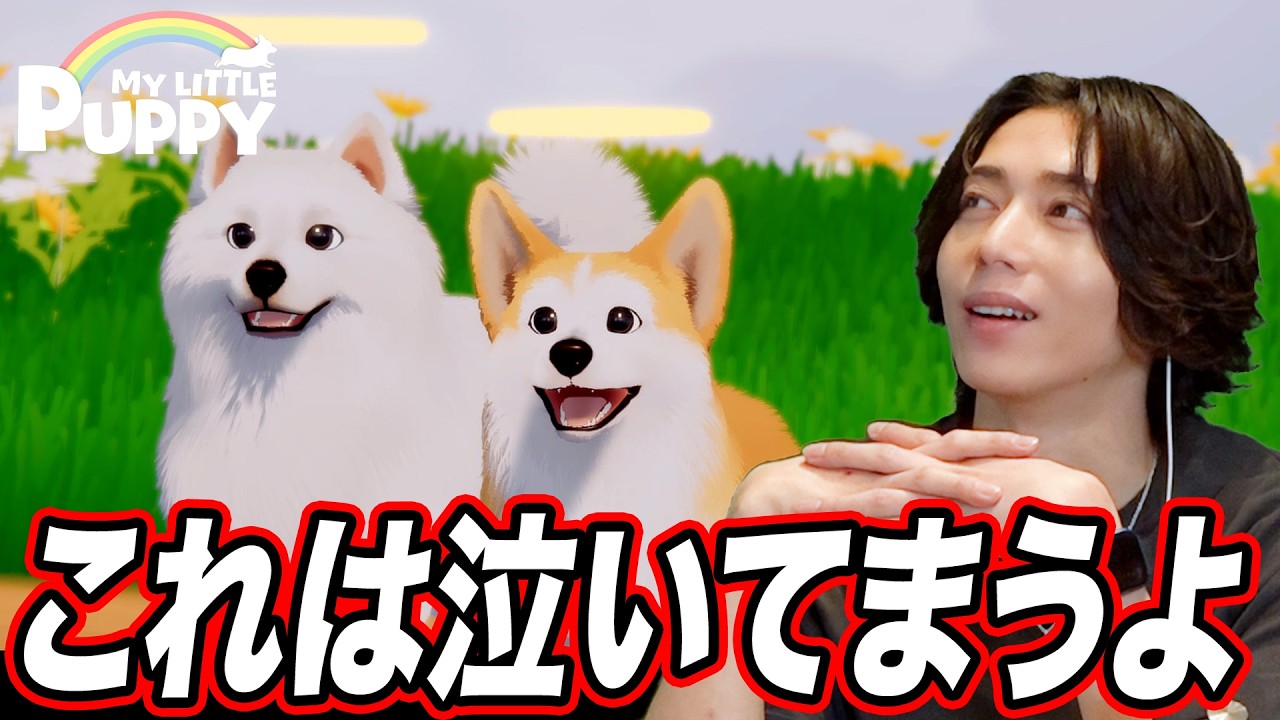 天国にいる飼い主を迎えに行く!!「My Little Puppy」part1