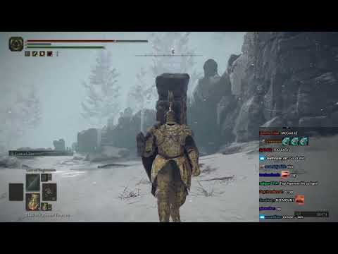 Mcconnell destroys the Bird of Death boss in Elden Ring